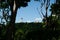 Cape Byron Lighthouse framed by trees on slope