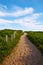 Cape Cod Herring Cove Beach Massachusetts US