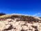 The Cape Cod National Seashore sand dunes