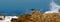 Cape Cormorant on rocks