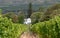 Cape Dutch style building at Groot Constantia, Cape Town, South Africa, with vineyard in  foreground and mountains in background