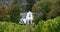 Cape Dutch style building at Groot Constantia, Cape Town, South Africa, with vineyard in  foreground and mountains in background