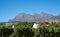 Cape Dutch style buildings peeping out behind a vineyard, with mountains in the background at Babylonstoren, South Africa