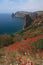 Cape Fiolent. Field of red poppies. Crimea.