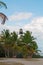 Cape Florida Lighthouse, beach, palms, vegetation, Bill Baggs Cape Florida State Park, protected area, Key Biscayne