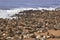 Cape Fur Seal Colony - Namibia