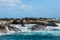 Cape Fur Seals at Duiker Island, South Africa