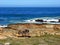 Cape of Good Hope view with ostriches, Cape town, South Africa