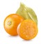Cape gooseberries on the white background