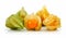 Cape Gooseberry (Physalis) Isolated