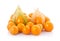 Cape gooseberry (physalis) isolated