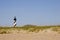 Cape Hatteras Lighthouse