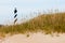 Cape Hatteras Lighthouse behind sand dunes NC USA