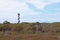 The Cape Hatteras Lighthouse near Buxton, North Carolina