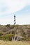 Cape Hatteras Lighthouse OBX North Carolina NC USA