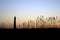 Cape Hatteras Lighthouse at sunset