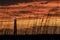 Cape Hatteras Lighthouse in sunset glow