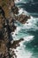 Cape point