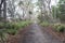 Cape Queen Elizabeth Track Bruny Island Tasmania Australia. Hiking and bushwalking trail