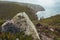 Cape of Rock Cabo da Roka in Portugal. Surroundings, green hills and plants.