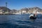 Cape Saint Luke, Mexico - January 10, 2023: person leaving in his speedboat from the airport to the high seas.