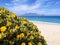 Cape Town Table Mountain seen from Blouberg Beach South Africa