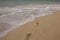 Cape Verde beach footprints