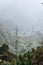 Cape Verde. Blossom yucca plants with desolate rocky mountaint background in Xo-xo valley in Santo Antao island