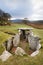 Capel Garmon Burial Chamber, Wales, UK