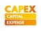 CAPEX Capital Expense - money an organization or corporate entity spends to buy, maintain, or improve its fixed assets, acronym