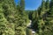 Capilano River on sunny day