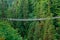 Capilano Suspension Bridge