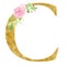 Capital C letter with flowers raster illustration