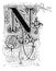 Capital Decorative Ornate Letter N, With Floral Embellishment or Ornament. Vintage Antique Drawing