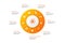 Capital Infographic 10 steps circle