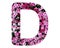 Capital letter D made of pink petunia flowers isolated on white background
