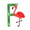 Capital letter F of childish English alphabet with funny flamingo. Scandi kids font with cute bird for children in