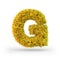 Capital letter G. Uppercase. Yellow fluffy and furry font. 3D