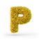 Capital letter P. Uppercase. Yellow fluffy and furry font. 3D