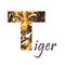 Capital letter T of watercolor tiger in jungle, isolated hand drawn on a white background. African animal. Wildlife