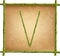 Capital letter V made of green bamboo sticks on old paper background