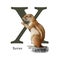 Capital letter X with xerus. Watercolor illustration. Forest animal ABC alphabet font element. Wildlife animal alphabet