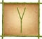 Capital letter Y made of green bamboo sticks on old paper background