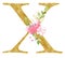 Capital X sign with flowers raster illustration