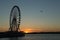 The Capital Wheel at National Harbor