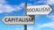 Capitalism and socialism as a choice, pictured as words Capitalism, socialism on road signs to show that when a person makes
