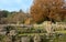 Capitals of pillars from the Temple of Zeus at Olympia Greece sit on moss covered rocks from acient ruins with winter trees in the