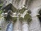 Capitals with plant and animal decoration, la coruÃ±a, spain, europe