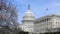 Capitol building and cherry blossoms, Washington DC