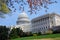 Capitol Hill Building with tree, Washington DC.